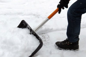 Läs mer om artikeln Snart kommer vintern och med den kommer snön