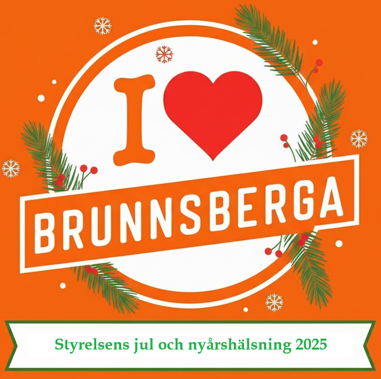 Du visar för närvarande Styrelsens jul och nyårshälsning 2025